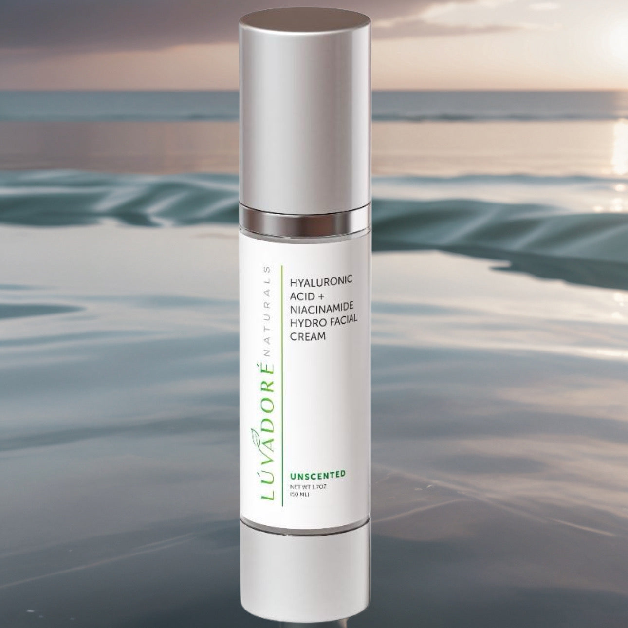 Hyaloronic Acid + Niacinamide Hydro Facial Cream